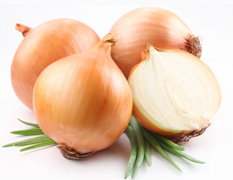 CIPOLLA DORATA FRESCA 10KG 黄洋葱